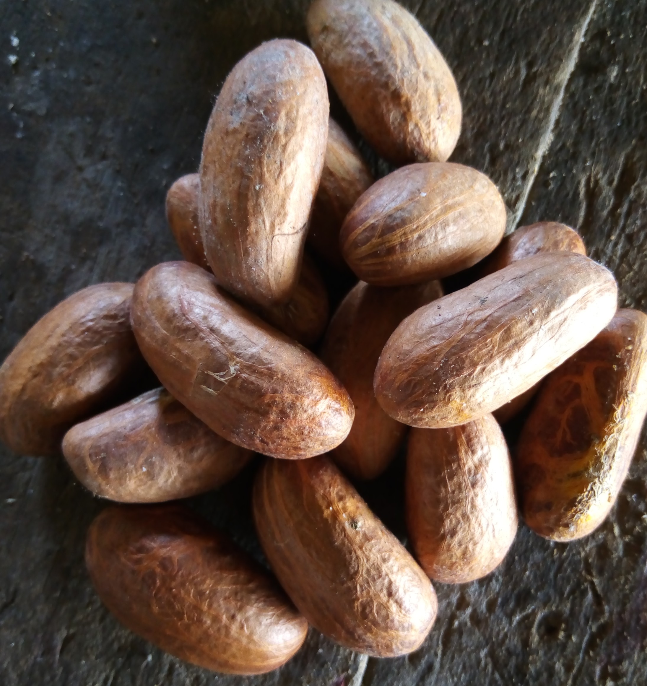 Buy and export commodities, foodstuffs, products from Africa